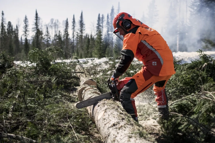 Pilarka Husqvarna 565 w użyciu, operator w pomarańczowym stroju roboczym z hełmem i słuchawkami. Cięcie leżącego pnia na tle lasu, z widocznymi gałęziami i trzema drzewami w tle. Na łańcuchu pilarki widoczna logotyp Husqvarna.