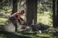 Pilarka Husqvarna 572 XP® tnie drzewo, operator w pomarańczowym ubraniu, pył i wióry unoszą się wokół. Na pierwszym planie trawa, w tle drzewa i naturalny krajobraz.
