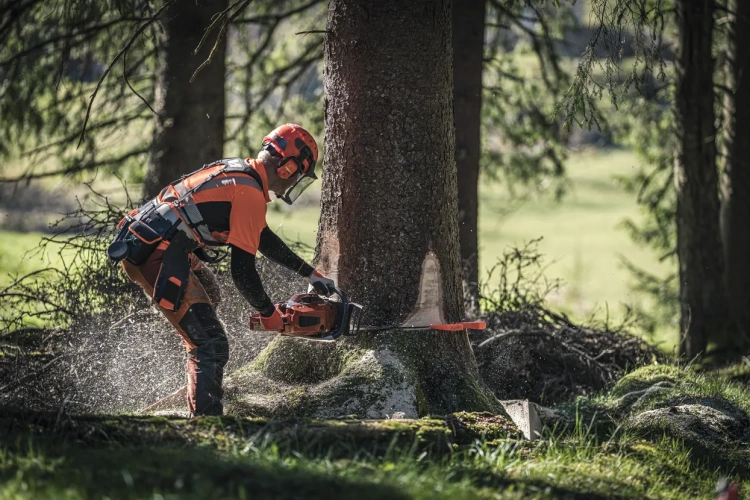 Pilarka Husqvarna 572 XP® tnie drzewo, operator w pomarańczowym ubraniu, pył i wióry unoszą się wokół. Na pierwszym planie trawa, w tle drzewa i naturalny krajobraz.