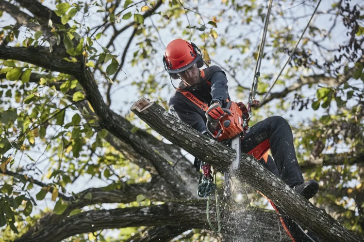 Pilarka akumulatorowa T535i XP Husqvarna w użyciu, prowadzona przez mężczyznę w hełmie i z ochraniaczami na uszy. Ujęcie z boku, z bliska na cięcie gałęzi, z widocznymi detalami narzędzia oraz tłem z zielonych liści i gałęzi.