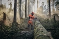 Bluzka high viz Technical z długim rękawem Husqvarna w pomarańczowym kolorze, wykonana z materiału odblaskowego, zapewniającego widoczność. Ujęcie frontalne, produkt noszony przez osobę pracującą w lesie. W tle drzewa i resztki ściętych pni.