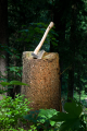 Stylisko jesionowe do topora 1kg umieszczone na ściętym pniu drzewa. Produkt z jasnego drewna, o lekkim połysku, z wyprofilowaną rączką. W tle gęsta roślinność, zdjęcie wykonane z boku, podkreślające kształt i teksturę styliska.