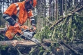Pilarka Husqvarna 562 XP® Mark II używana przez osobę w pomarańczowym ubraniu. Widoczny detal piły z logo na prowadnicy, w tle drzewa i obcięte gałęzie, podkreślające zastosowanie narzędzia.