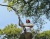 Mężczyzna w białej koszulce i czerwonej czapce trzyma podkrzesywarkę Aspire PE5-P4A Husqvarna, wyciągając ją w górę w stronę gałęzi drzewa. W tle widoczne są zielone liście, a pełne światło słoneczne oświetla scenerię.