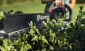 Nożyce do żywopłotu Husqvarna Aspire™ H50-P4A w ręku użytkownika, z bliska na ostrze z logo Husqvarna. Otoczenie to zarośla z zielonymi liśćmi. Uchwyt w kolorze czarnym z czerwonym akcentem, produkt w użyciu na tle ogrodu.