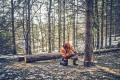 Mężczyzna w pomarańczowym kombinezonie ochronnym i hełmie używa pilarki Husqvarna 562 XP®G Mark II do ścinania drzewa. Na zdjęciu widoczny opady śniegu i ścięte drzewo leżące na ziemi. Tło przedstawia gęsty las.