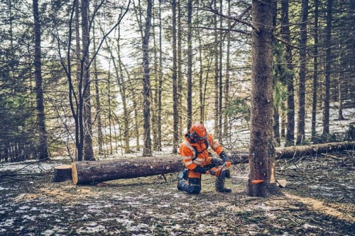 Mężczyzna w pomarańczowym kombinezonie ochronnym i hełmie używa pilarki Husqvarna 562 XP®G Mark II do ścinania drzewa. Na zdjęciu widoczny opady śniegu i ścięte drzewo leżące na ziemi. Tło przedstawia gęsty las.