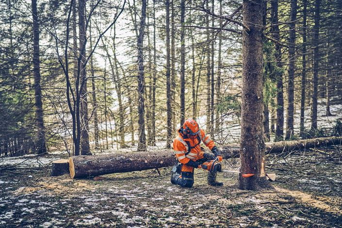 Mężczyzna w pomarańczowym kombinezonie ochronnym i hełmie używa pilarki Husqvarna 562 XP®G Mark II do ścinania drzewa. Na zdjęciu widoczny opady śniegu i ścięte drzewo leżące na ziemi. Tło przedstawia gęsty las.