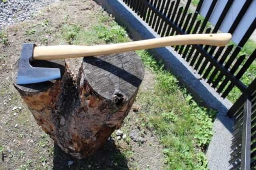 Topór leśny 1,5 kg Krumpholz z czarną, prostokątną głowicą i drewnianym trzonkiem, umieszczony na pniu. Tło naturalne z trawą i ogrodzeniem. Ujęcie z góry, pokazujące długą, gładką rękojeść.