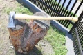 Siekiera klinowa Krumpholz 2,0 kg z drewnianą rączką leży na pniu drzewa, ukazując metalową, szeroką głowicę. Ujęcie z boku, na tle trawy oraz ogrodzenia, ukazuje naturalne otoczenie narzędzia. Produkt nowy, gotowy do użytku.
