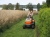 Traktor TS 215T Husqvarna w kolorze pomarańczowym, z czarnymi detalami, prowadzi osoba na trawiastym torze. Ujęcie z boku ukazuje kółka i prostą konstrukcję. Tło stanowi pole i zarośla, co wskazuje na użytkowanie w ogrodzie.