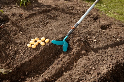 Obsypnik Combisystem Gardena o szerokości 16 cm o niebieskich, plastikowych skrzydłach. Ułożony w ziemi, z uchwytem z materiału metalowego, w pobliżu leżących na ziemi ziemniaków. Sprzęt używany w ogrodzie, na tle gleby.