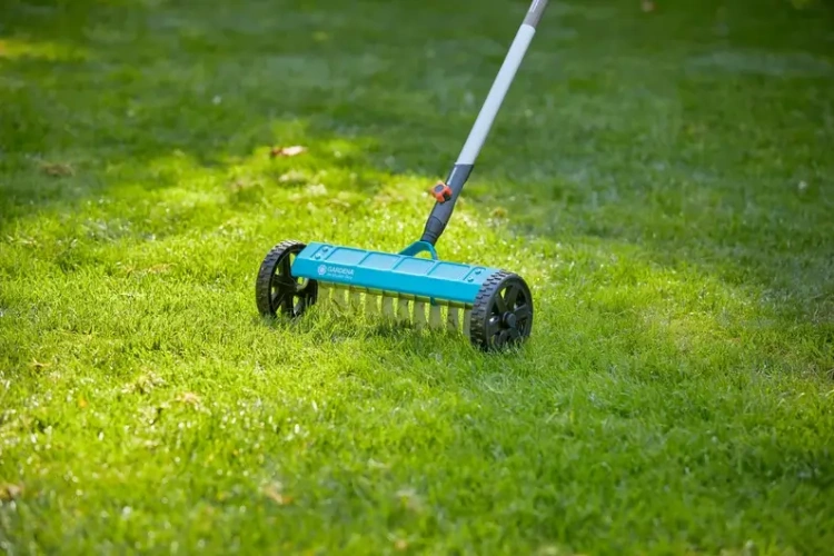Wertykulator do trawy na kółkach Gardena, o szerokości 32 cm, w kolorze błękitnym i czarnym, z metalowymi ostrzami, stoi na trawie. Możliwe widoczne logo. Produkt pokazany jest w użyciu, na równym, zielonym tle.