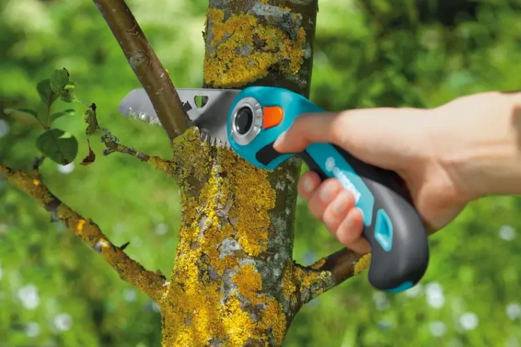 Składana piła ogrodowa Gardena z ostrym, ząbkowanym ostrzem i ergonomiczną, niebiesko-czarną rączką, używana do cięcia gałęzi na pniu drzewa porośniętym mchem. Ujęcie boczne, w akcji, z roślinnością w tle.