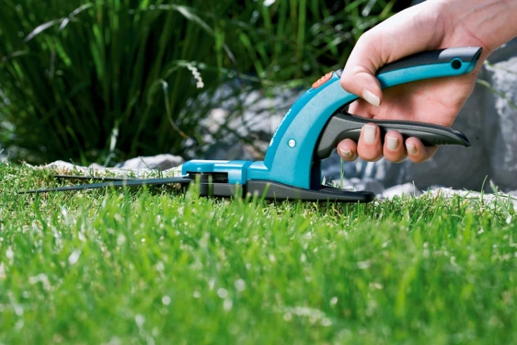 Niebieskie nożyce do trawy z czarnymi uchwytami na zielonej trawie. Zbliżenie pokazuje mechanizm tnący i ergonomiczną rączkę na tle roślin.