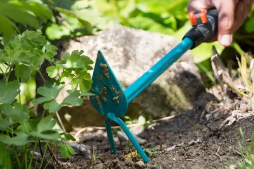Motyczka sercowa Gardena z dwoma zębami, wykonana z niebieskiego metalu, leżąca na ziemi. Widoczna rączka z praktycznym uchwytem i dodatkowymi funkcjami w pobliżu roślin; otoczenie to ogród z zielonymi liśćmi i dużym kamieniem w tle.