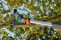 Dwuostrzowe nożyce do gałęzi Gardena z teleskopowym trzonkiem, w kolorze czarnym i pomarańczowym. Produkt leży na gałęzi drzewa, pokazany pod kątem z boku, co ukazuje ostrza oraz mechanizm cięcia. W tle zielone liście drzew, jasne niebo.