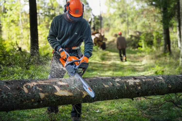 Pilarka Husqvarna 450X trzymana przez użytkownika w odzieży roboczej. Widoczny pomarańczowy silnik, metalowa prowadnica z logo i opadające drobne kawałki drewna na tle liści i drzew.