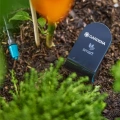 Czujnik wilgotności gleby GARDENA smart umieszczony w ziemi obok roślin ogrodowych, monitorujący poziom nawodnienia gleby i wspierający automatyczne podlewanie.