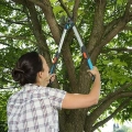 Nożyce do gałęzi TeleCut 520-670B Gardena w niebieskim kolorze z pomarańczowym przyciskiem. Metalowe ostrza do precyzyjnego cięcia i ergonomiczny uchwyt zapewniają wygodę użytkowania.