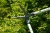 Nożyce do żywopłotu TeleCut Gardena w niebieskim kolorze z pomarańczowym przyciskiem. Metalowe ostrza do precyzyjnego cięcia i ergonomiczny uchwyt zapewniają wygodę użytkowania. Widoczne w użyciu.