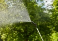 Opryskiwacz ciśnieniowy Gardena EasyPump 5L z metalową rurką i czarną dyszą. Uchwyt z pomarańczowym przyciskiem. Trzymany pionowo na tle drzew, używany w ogrodzie.