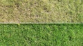 Zdjęcie podzielonego trawnika: górna część żółta i zniszczona, dolna zielona i zdrowa, z wyraźną granicą. Widoczne detale źdźbeł ukazują różnice w kondycji.