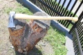 Siekiera klinowa 2,0 kg Krumpholz z drewnianym uchwytem, umieszczona na pniu drzewa w ogrodzie. Ujęcie z boku pokazuje ostrze i uchwyt. Metalowa część ma połysk, uchwyt jest prosty, naturalnego koloru. W tle widoczna trawa i ogrodzenie.