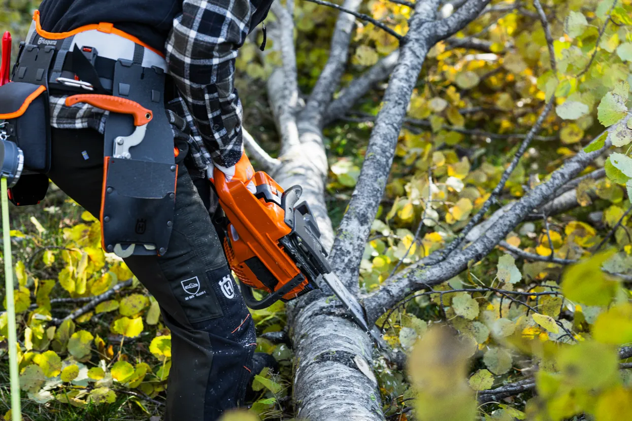 praca pilarką 445S marki Husqvarna