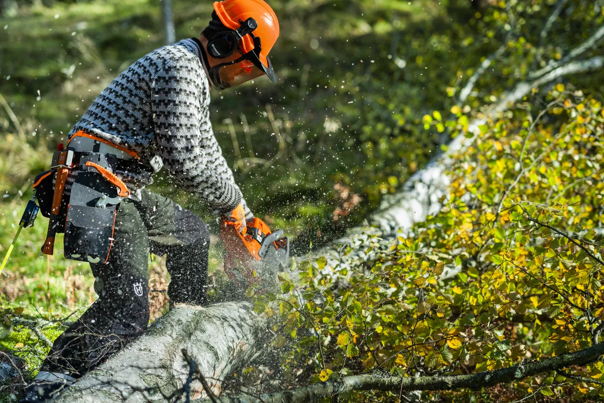 pilarka spalinowa 450s husqvarna