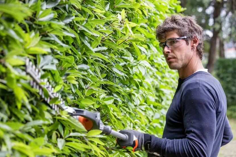 Nożyce akumulatorowe do żywopłotu 520iHT4