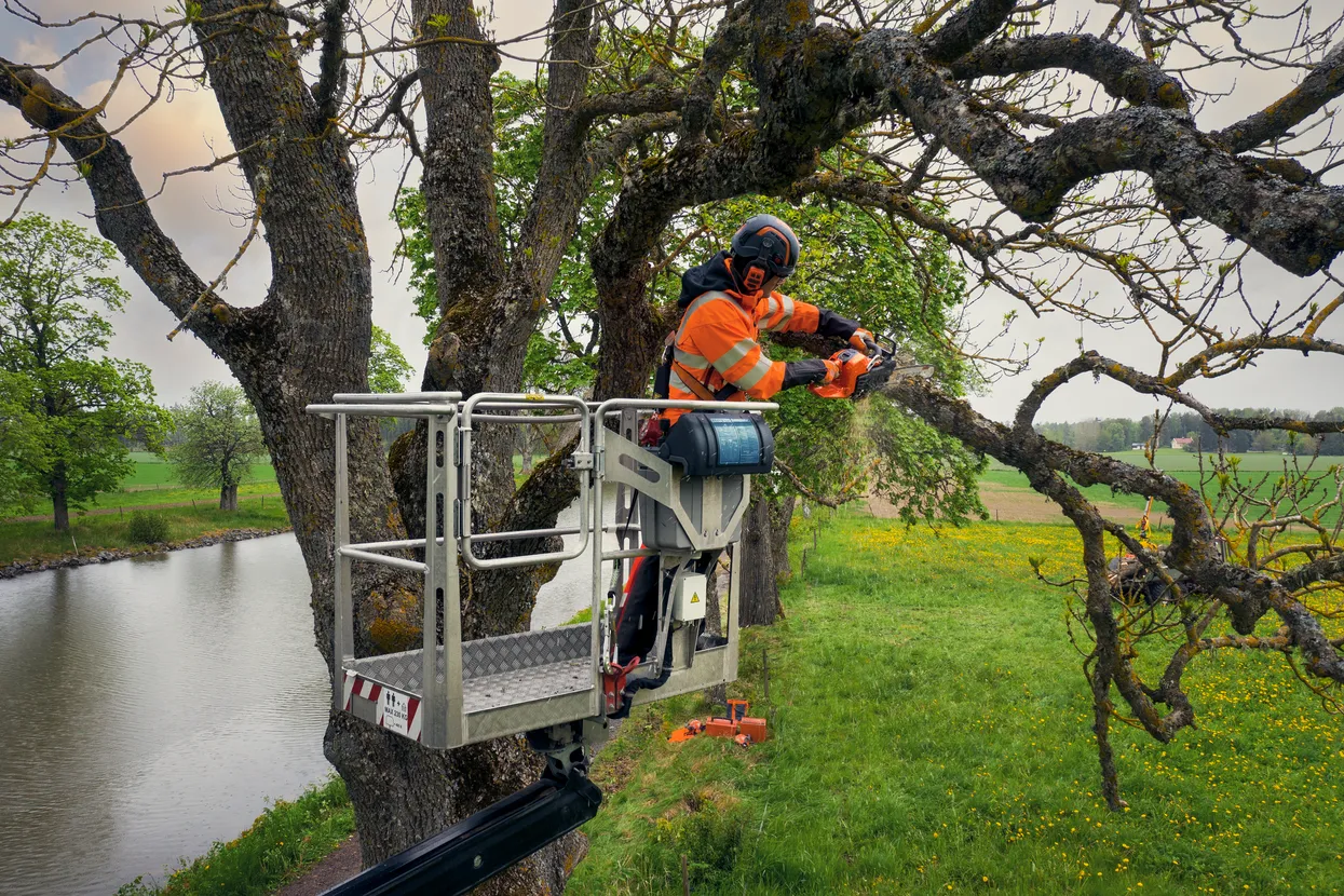 pilarkaspalinowa 540 xp mark III 