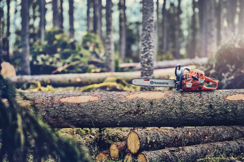 pilarka-562xp-husqvarna-rewelacyjna