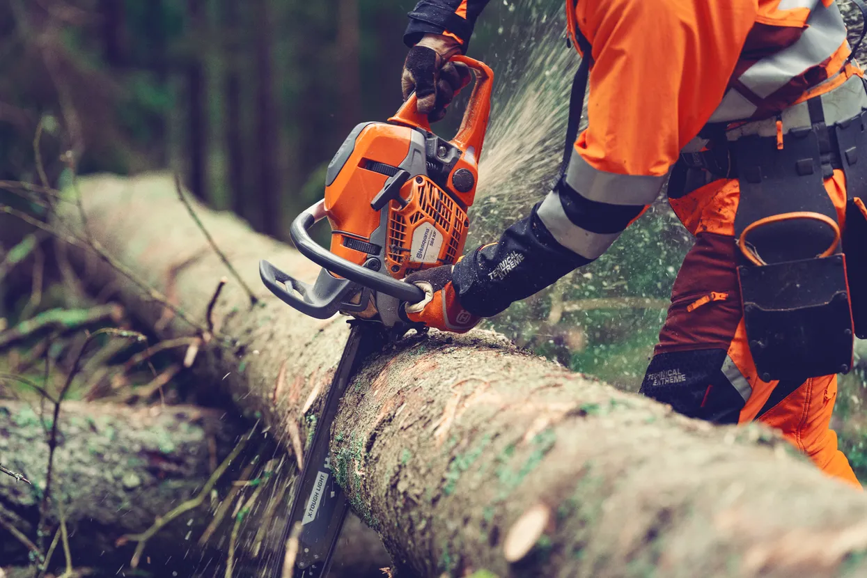 pilarka564xp z wtryskiem paliwa od husqvarna tnie drzewo