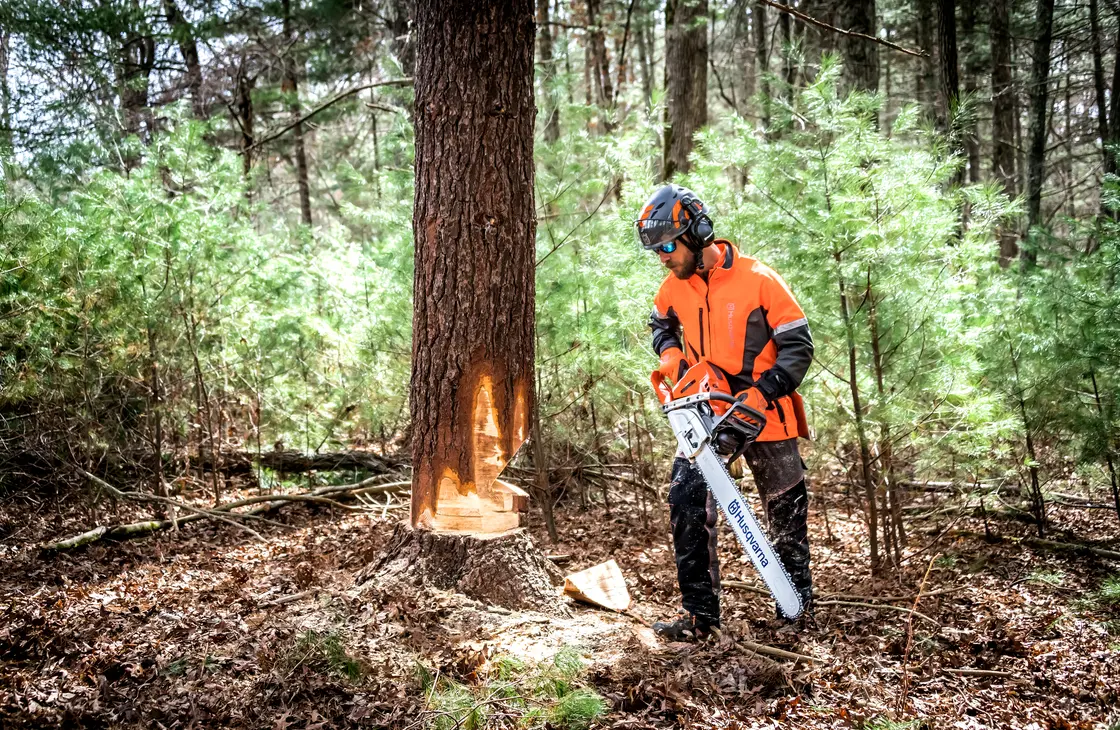 praca w lesie pilarka 572xp marki husqvarna