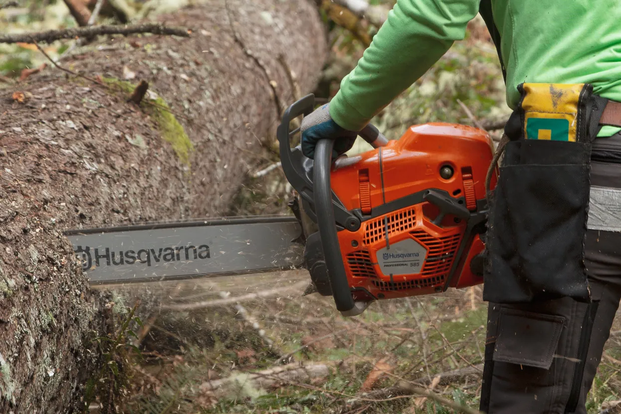 pilarka spalinowa 585 husqvarna pracuje w drewnie