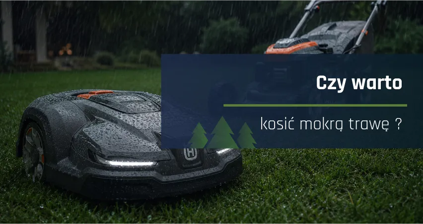 Czy warto kosić mokrą trawę ?